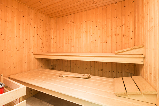 Vakantiehuizen met een sauna